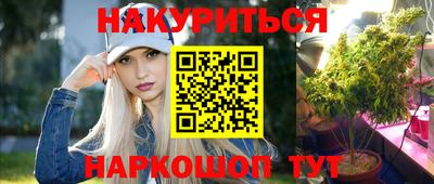 дмт Донской