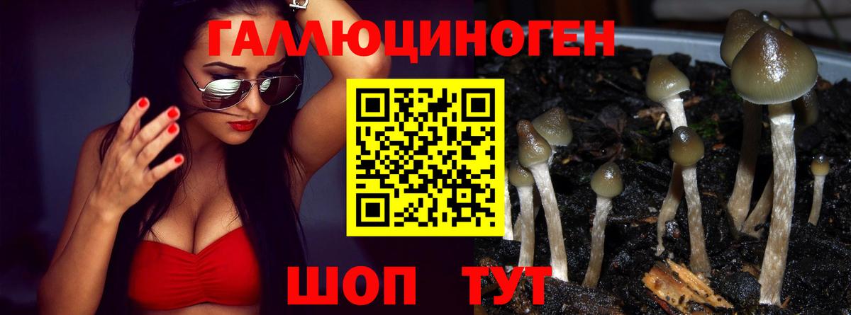 Псилоцибиновые грибы прущие грибы  как найти закладки  Борисоглебск  Псилоцибиновые грибы GOLDEN TEACHER  Вход с VPN 